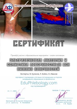 Сертификат (15)